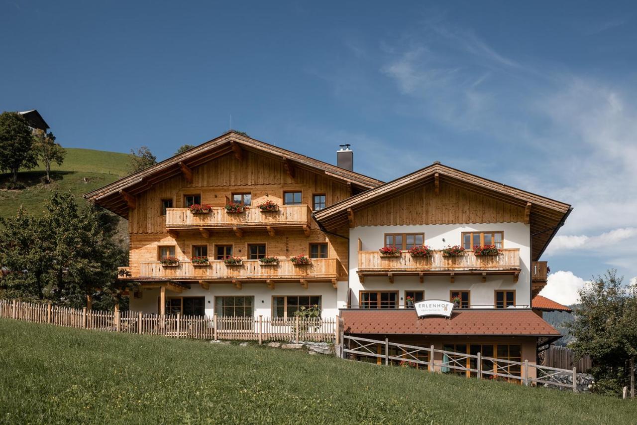Aparthotel Der Erlenhof Großarl Exterior foto